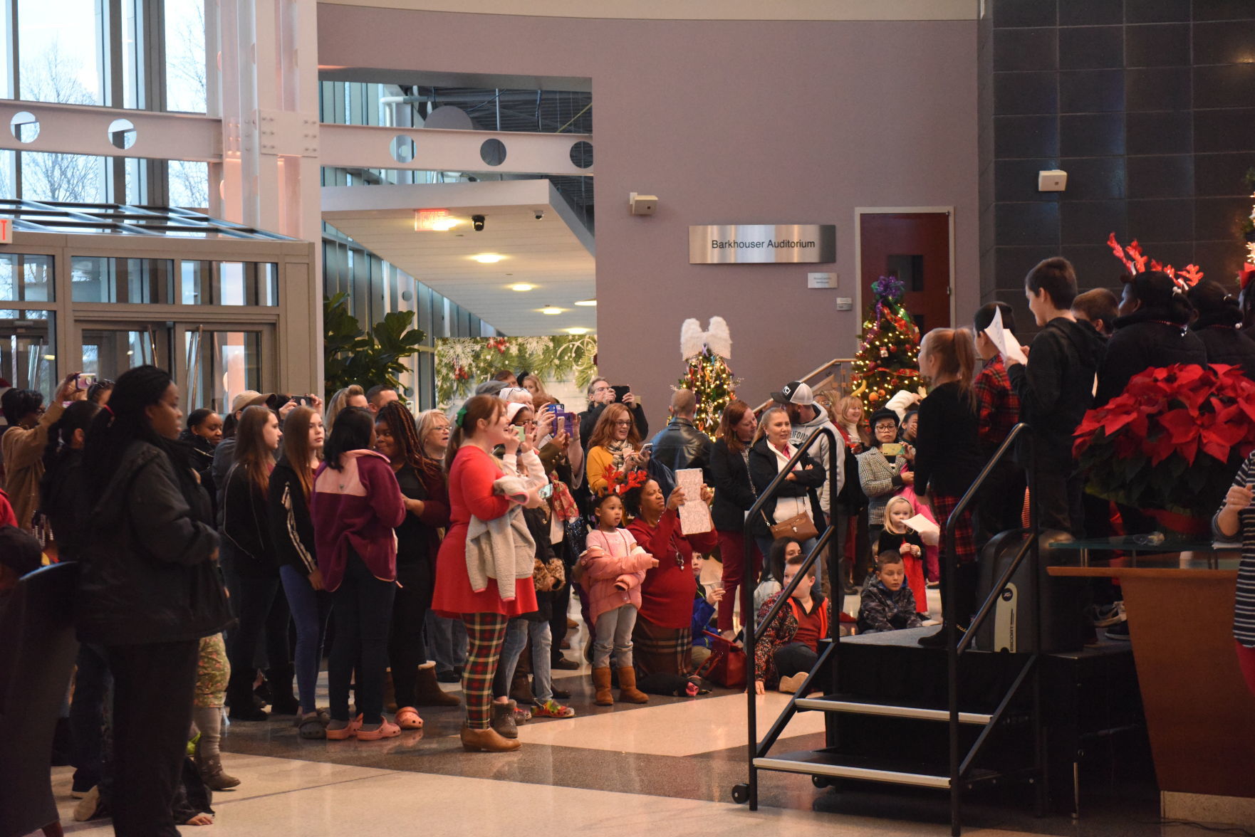 Decorating the Trees for a Cause